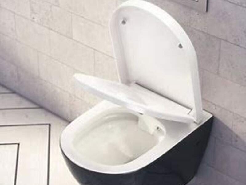 Tapa Asientos sanitarios