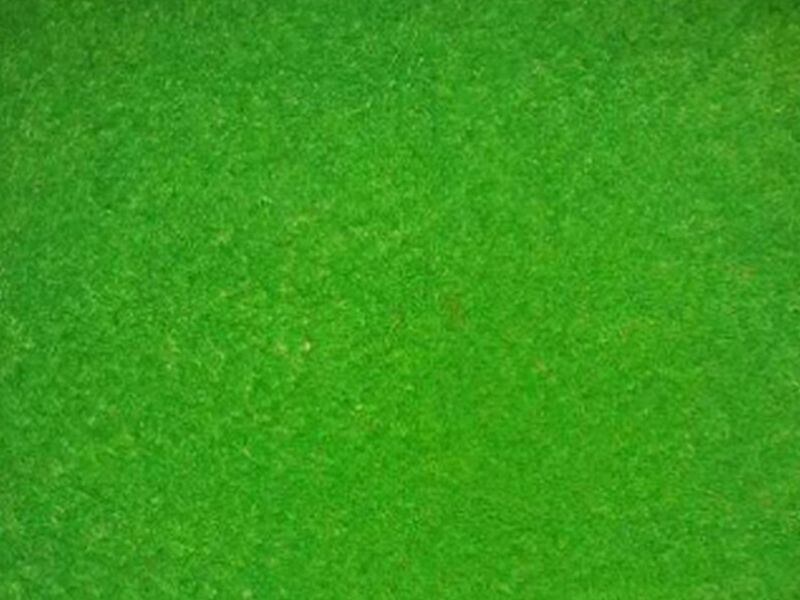 Alfombra verde Guatemala