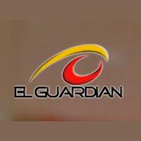 El Guardian Seguridad