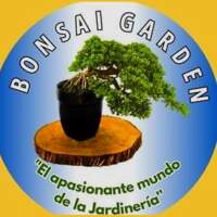 Bonsai Garden Guatemala