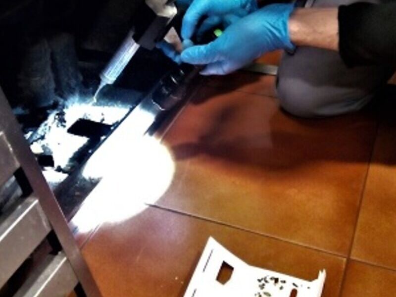 Gel para control de cucarachas Guatemala