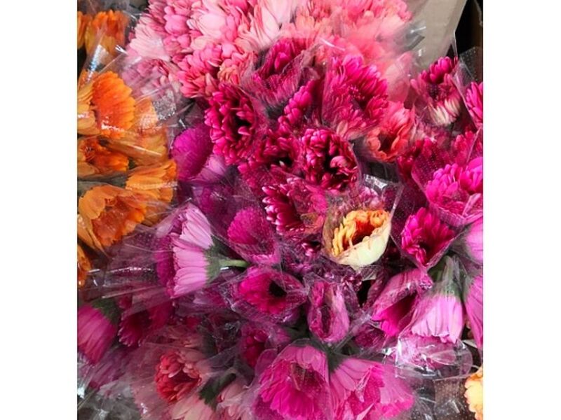 Florero Lux Guatemala