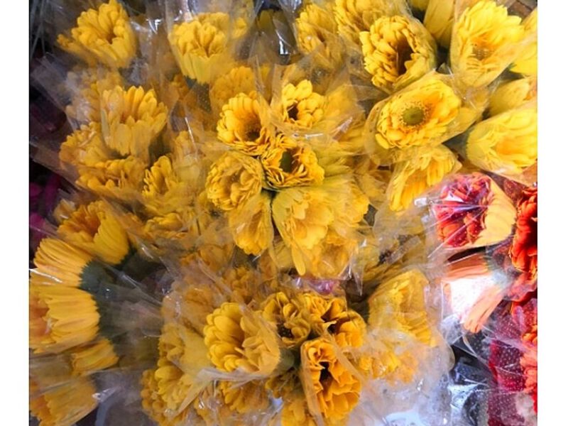 Florero Silentium Guatemala