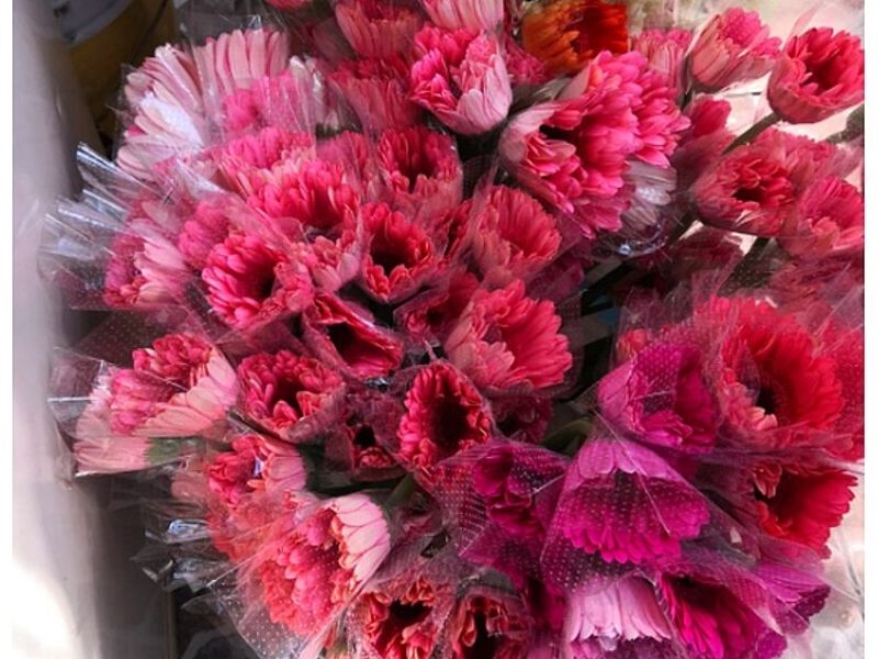 Florero Audax Guatemala