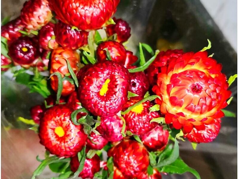 Florero Numen Guatemala