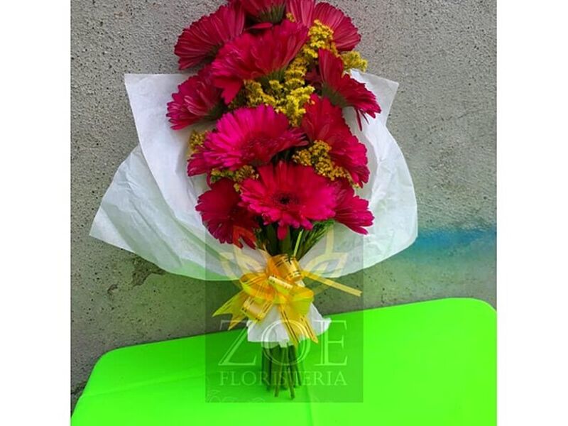 Florero Tempestivus Guatemala