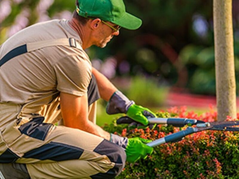 JARDINERIA SERVICIO GUATEMALA