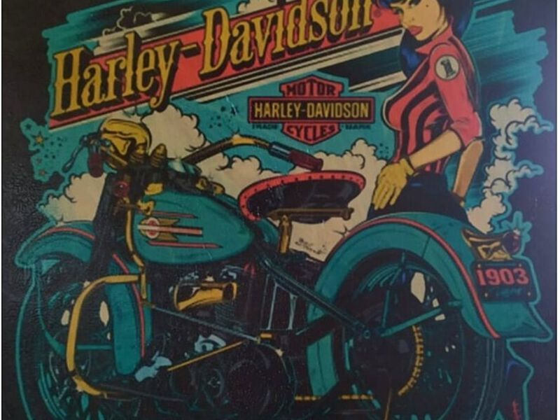 Cuadro Decorativo Harley Guatemala