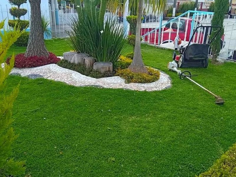 Paisajismo Cubulco