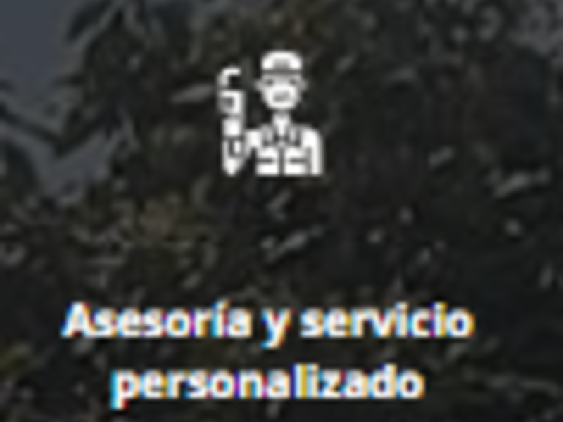 Asesoría y servicio personalizado Guatemala 