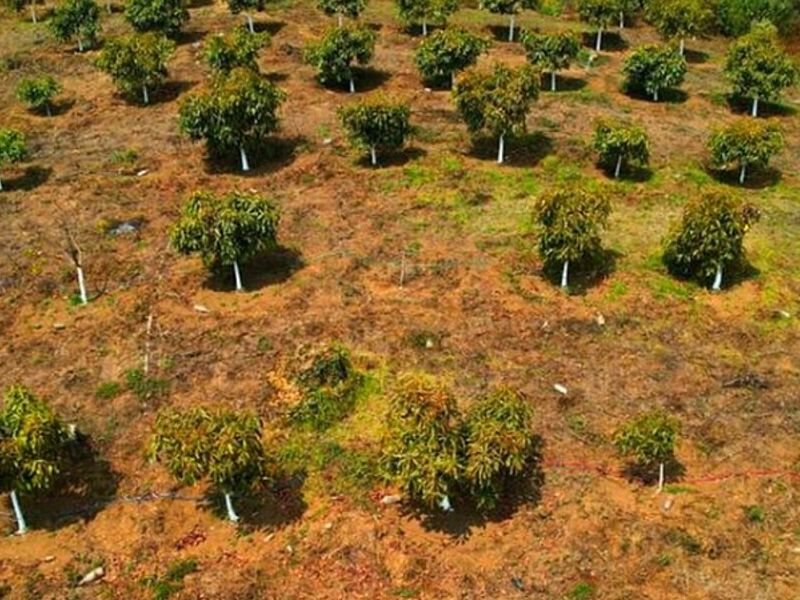 TERRENOS EN VENTA GUATEMALA