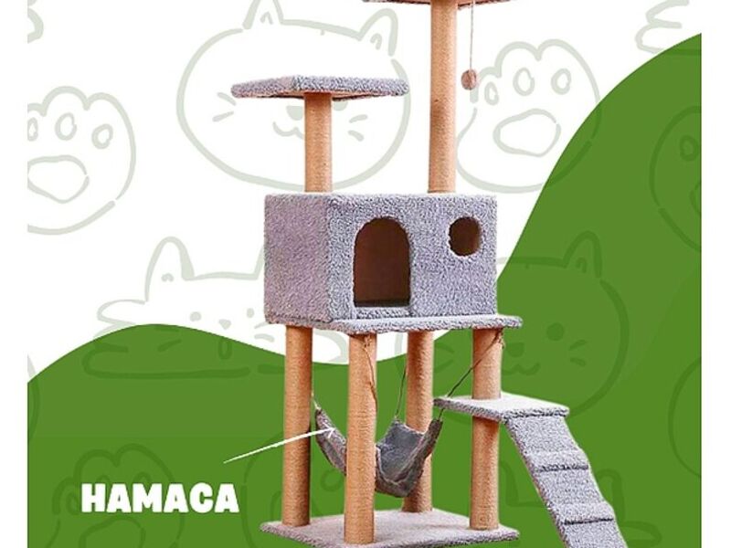 CASA MEDIANA GATO GUATEMALA