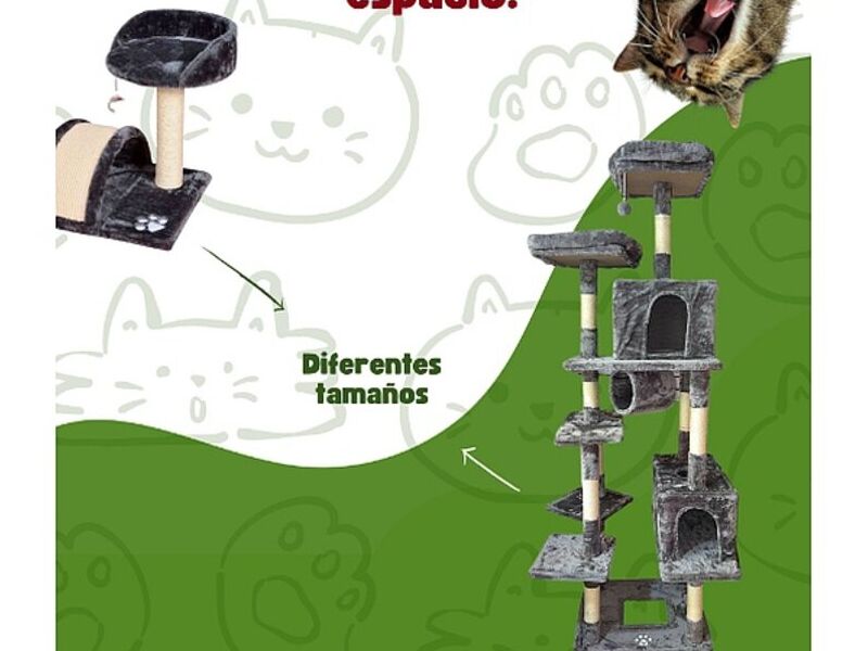 CASA GRANDE GATOS GUATEMALA