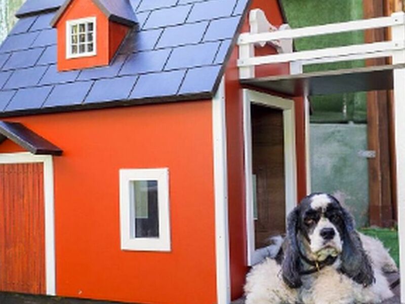 CASA PERRO GRANDE GUATEMALA
