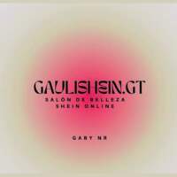 GauliShein GT