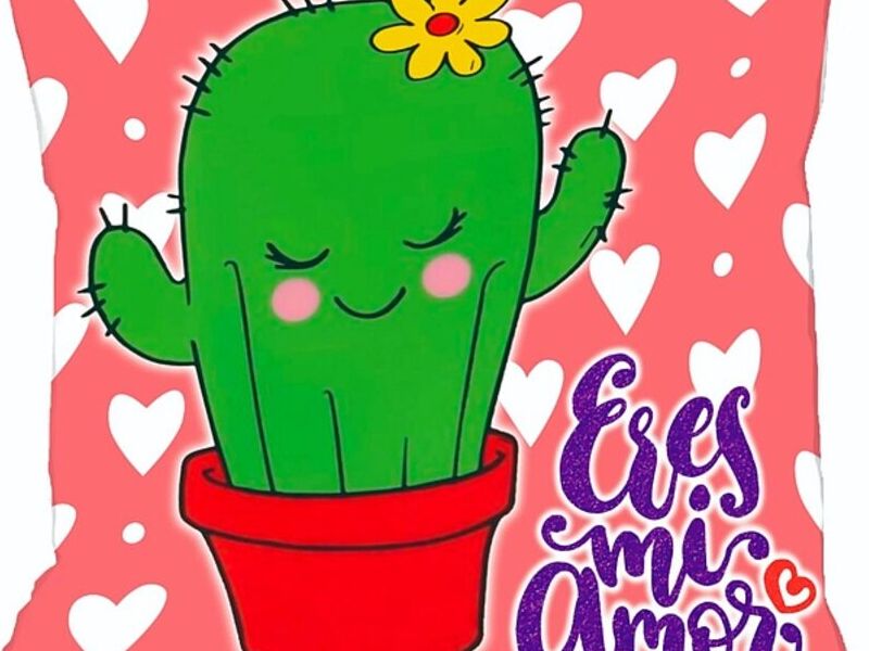 Cojín Cactus Guatemala