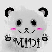 MiDi Gt