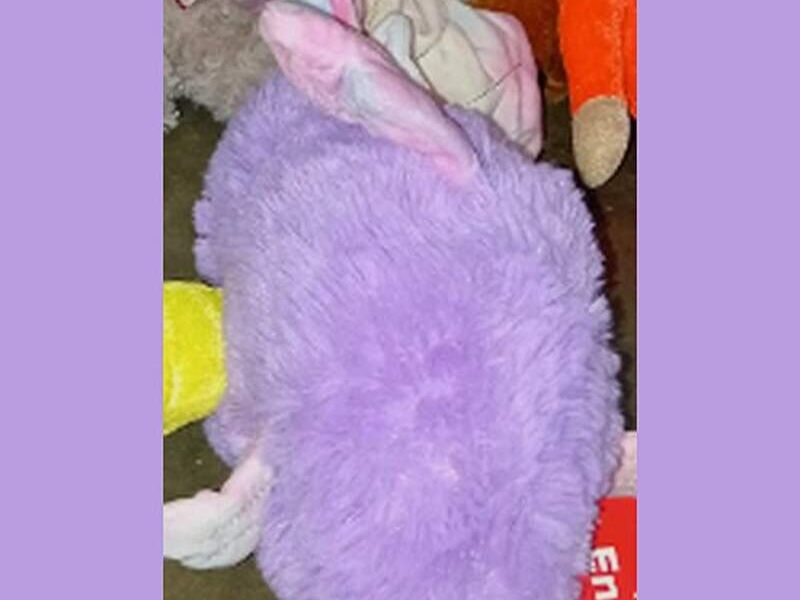 Peluche Infantil 1 Guatemala