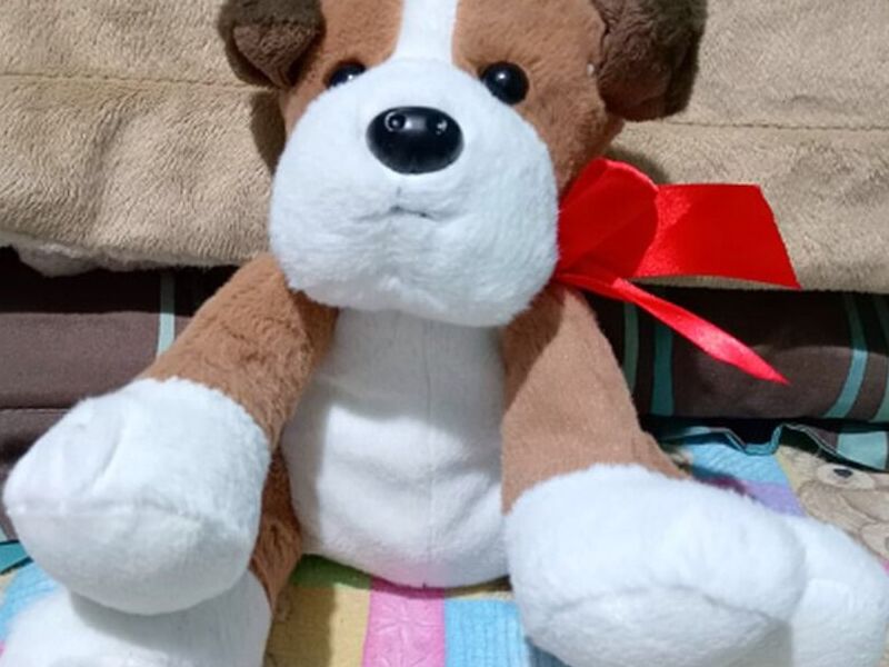 Peluche Infantil 5 Guatemala