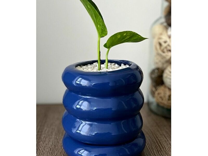 Macetero Azul Guatemala