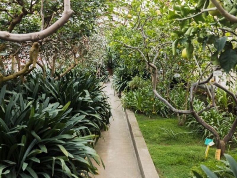 Diseño Jardines Guatemala