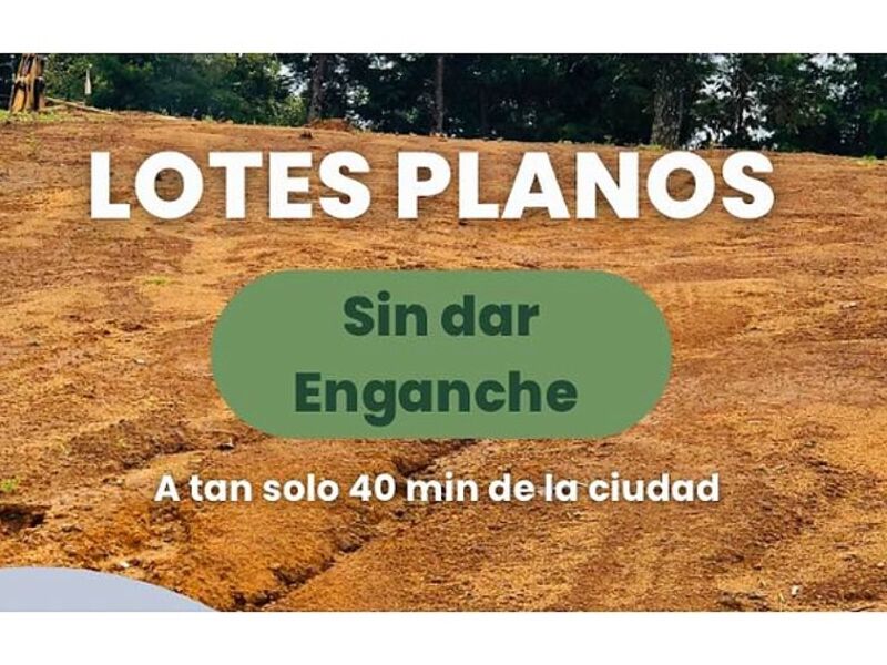 Lote Plano  Bosque San Pedro 