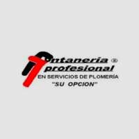 Fontaneria Profesional San Marcos