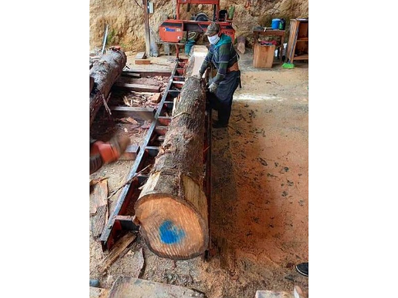 Troncos madera Guatemala