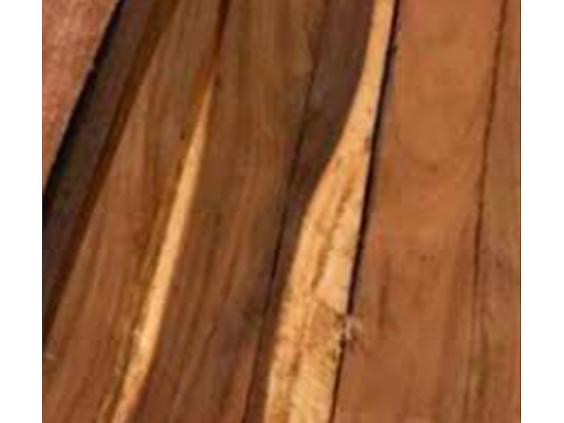 Madera canacaste Guatemala