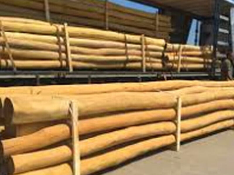 Postes madera Guatemala