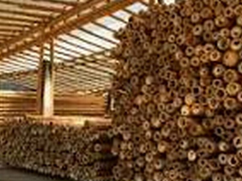 Madera caña Guatemala