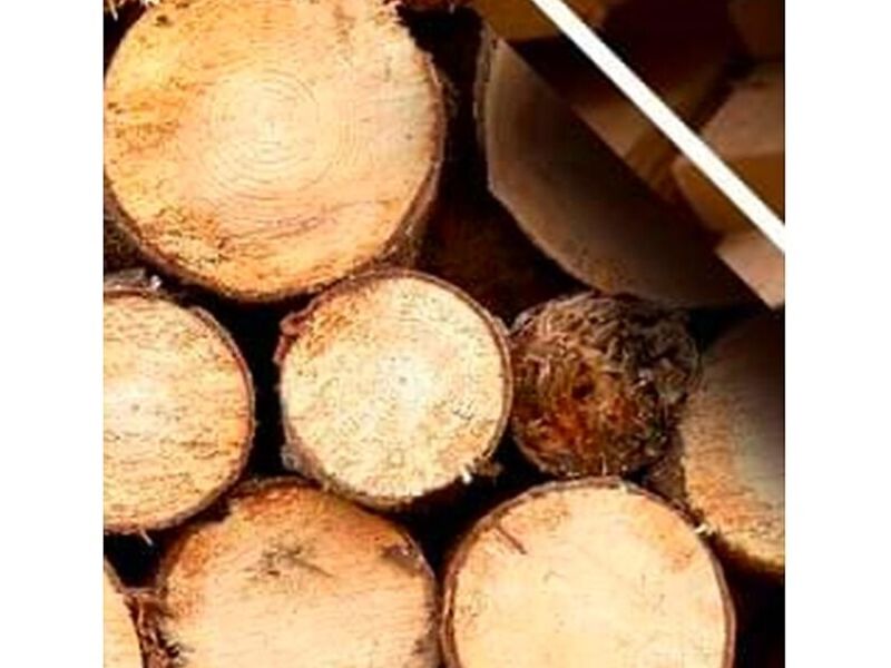 Madera Guatemala