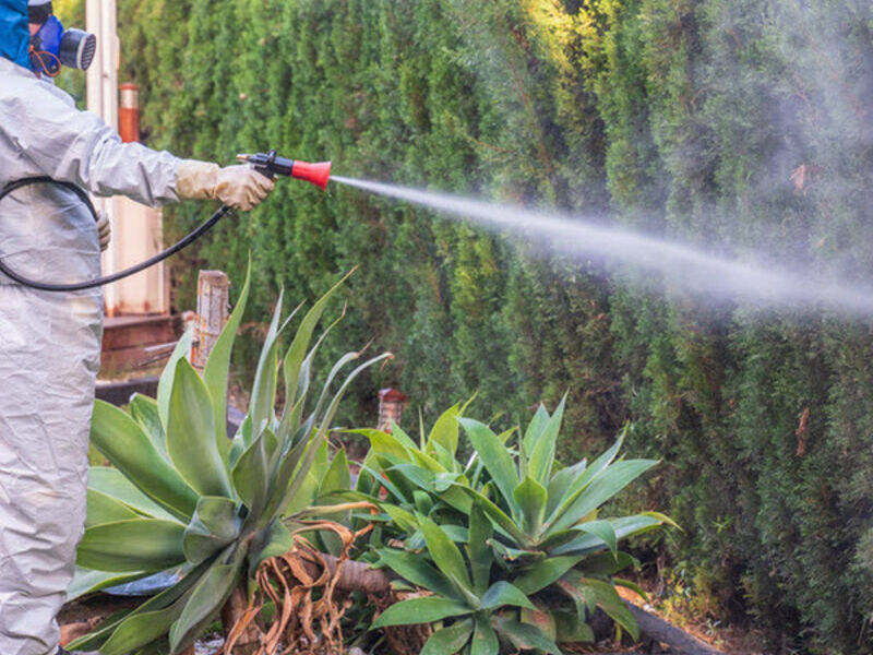 Fumigación de Jardines Guatemala