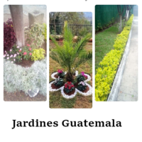 Jardines Guatemala