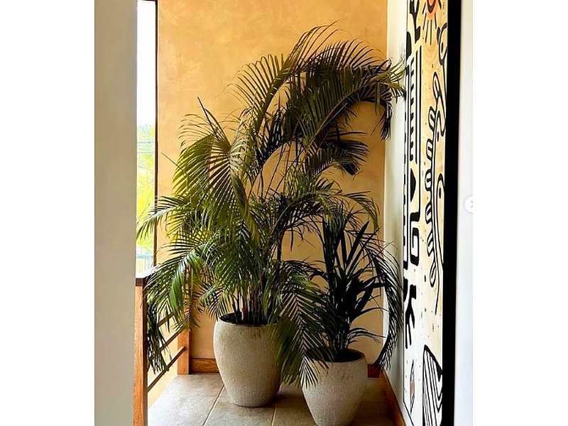 Stucco Pared Guatemala
