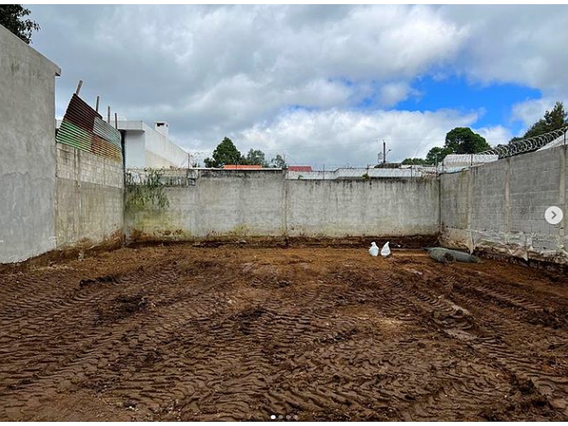 Arquitectura Asesor Guatemala