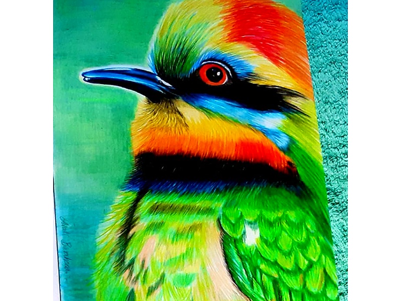 Cuadro Decorativo Pajaro Guatemala