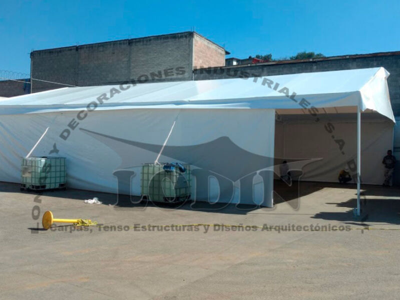 Carpas Marroquines