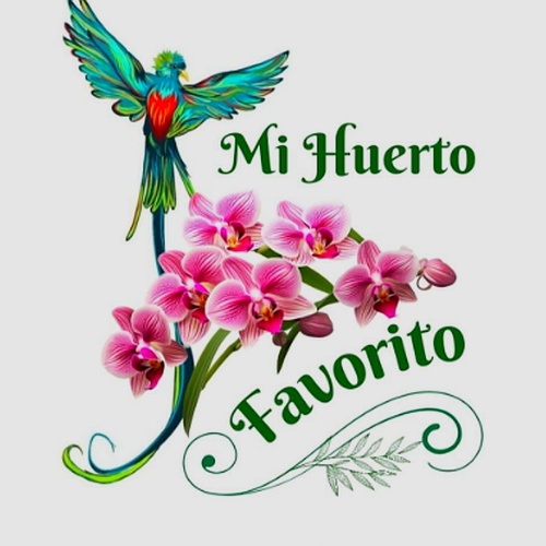 Mi Huerto Favorito A&A