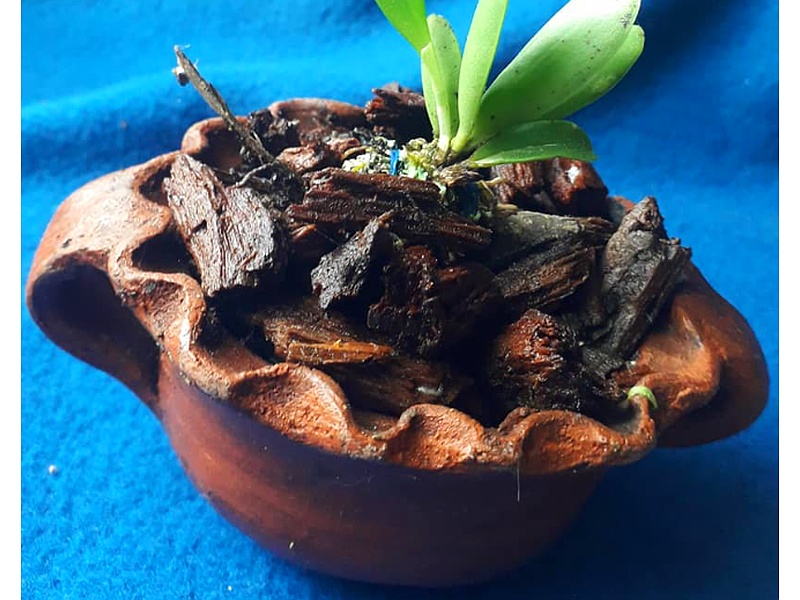 Maceta Barro Guatemala