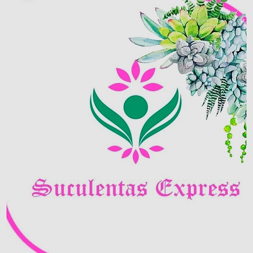 Suculentas Express