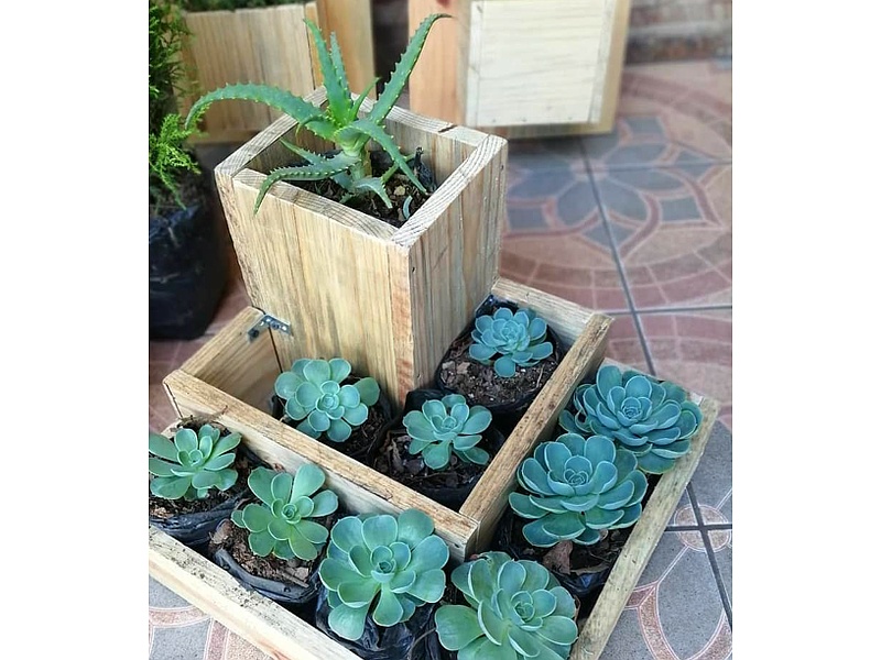 Maceta Madera Cuadrada Guatemala