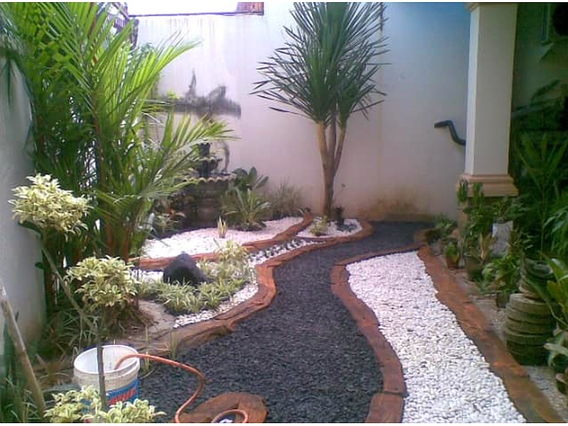 Diseño Jardín Bromelias Guatemala 