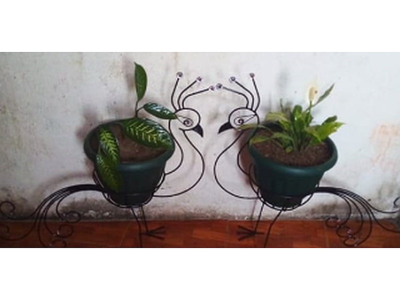 Maceteros Cisne Guatemala