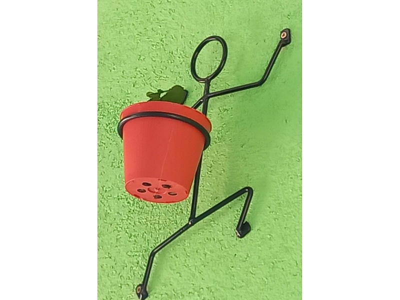 Macetero Flotante Guatemala