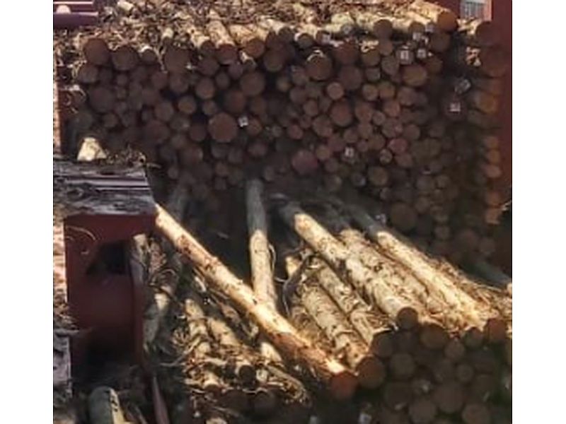 Madera Guatemala
