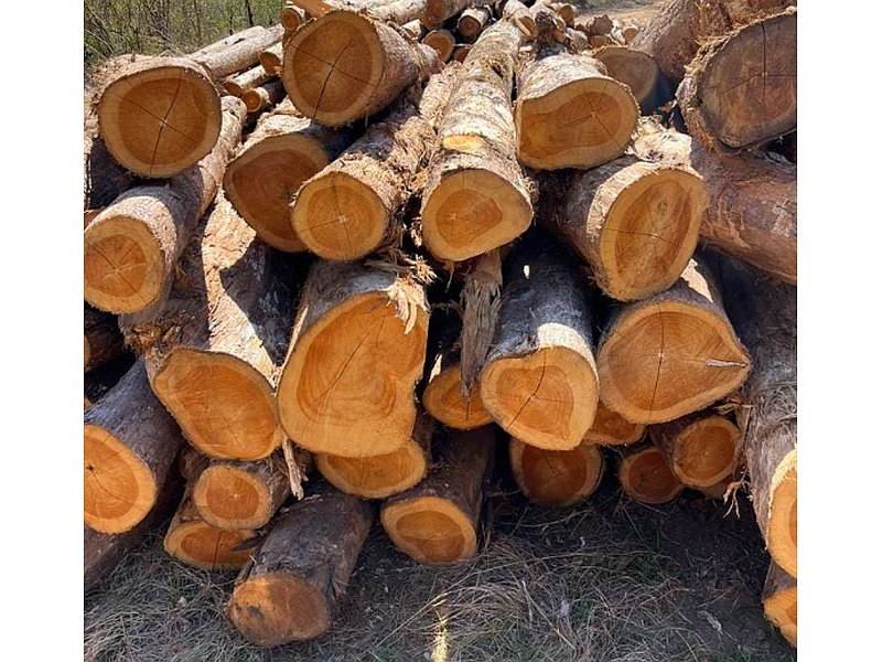 Madera Tejo Guatemala