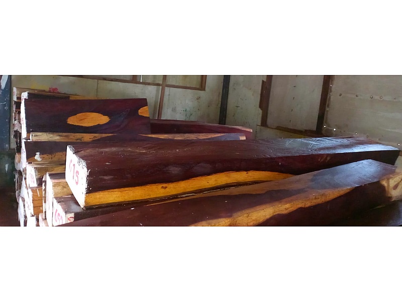 Madera Caoba Guatemala