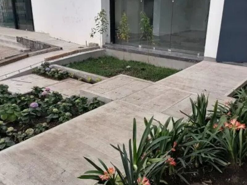 Jardines para patios 