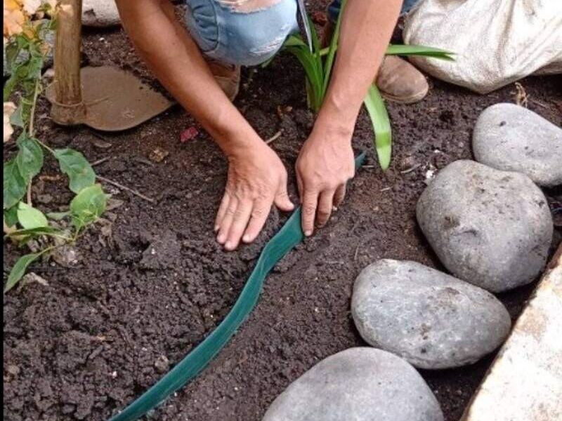 Servicio de Jardineria en Ciudad de Guatemala